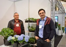 "Vyacheslav and Vladimir Koval of Koval Greenhouse, a grower of young and finished hydrangea plants. According to Vladimir, due to the decrease in value of the Ukrainian Hryvnia it is more expensive for growers to buy their young plants abroad. "Therefore, for some growers we could replace some of their varieties with our varieties", he says."