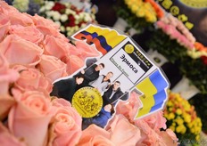 Roses of Invos Flower.