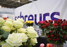 The White Naomi of Schreurs.