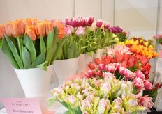 The tulips of Boon Export.