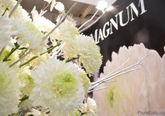 The Magnum if Deliflor.