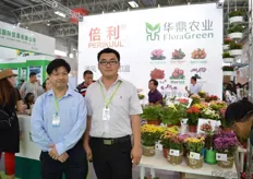 Albert Mak and Mi Jang from Flora Green. This company sells cuttings from different breeders here in China. According to Mak, the number of professional producers increases and also the number of producers that is using the cuttings of a professional propagator. Importing cuttings is expensive and this is the main reason why many growers propagate their own cuttings. “We are able to produce the cuttings here in China for a reasonable price, which makes our products more attractive for the growers”, says Mak.