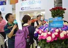 Visitors taking pictures of the roses of BellaRosa and Rose Connection.