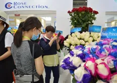 Visitors making pictures of the roses of the Ecuadorian rose grower BellaRosa and Rose Connection.