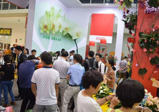 The crowded booth of Kumning Anthura.