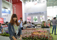 Men Qing Yuan from Bozon.