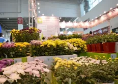 The booth of EP- Exotic Plant.