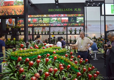 A part of the large booth of Deroose plants.