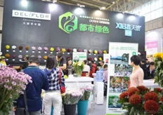 The large combined booth of Deliflor, Dushi Green and XTB.