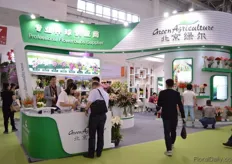 Green Agriculture, a supplier of Flower bulbs.