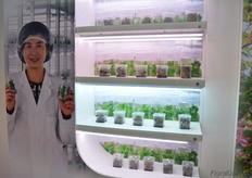 The new LED module of Philips for tissue culture cultivation.