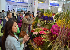 The flowers of Lynch Group attract the attention of many visitors.
