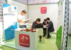 Terracult in the German pavillion.