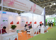 China Great Wall International Exhibition.