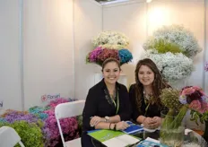 Sisters Belén and Christina Garcia from Florsani. They started exporting gypsophila to China. According to Garcia, the tinted gypsophila's are among the top sellers.