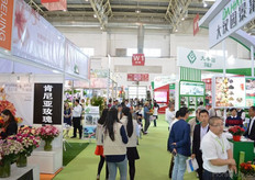 The exhibition area.