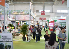 The exhibition area.