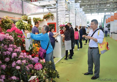 Visitors taking pictures of the plants of Lehei.