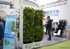 The plant wall of Oboya.