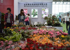 Beijing Bozon Agriculture.