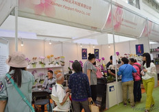 Xiamen Panport Flora.