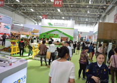 The exhibition floor.