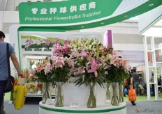 The lilies of this Chinese bulb supplier.