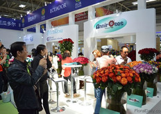 The roses of Anniroses.