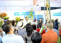Many visitors interested in the flower arrangements made with Japanese flowers at the Japan Flowers & Plants Export Association booth.