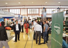 The exhibition floor.