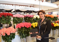 Farah Shamji of AAA Growers. She is standing in front of the roses that were cultivated in their new greenhouse; Belissima. They started the construction of this 20ha sized greenhouse in February 2015 and in February 2016, they had their first production. The farm is located on a 2500m altitude and they saw a good market for high altitude roses. Special about this greenhouse is their cold chain. More on this later in FloralDaily.