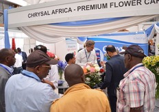 The crowded booth of Chrysal.