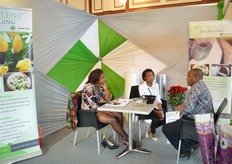 Jumbolene Packaging.