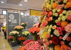 The roses of InterPlant.