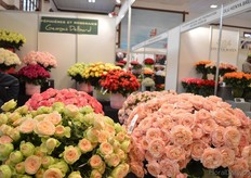 The roses of Georges Delbard.