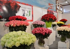 The roses of PJ Dave Group.