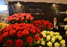 The roses of Batian Flowers.