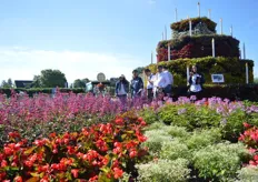 The were a lot of international visitors visiting the FlowerTrials, also at Florensis.
