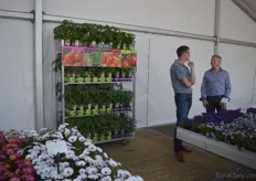 The Big taste Experience of Florensis. This is a concept which consists of strawberries, herbs, vegetables grafted vegetables and la selection du Chef. Now, they created modules that are focused on taste and experience.