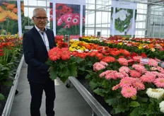 Florist already boosted gerbera's in micro, mini, midi and maxi sizes. This year, they added a new category: the Giant. The stem length is short, creating even more a feeling of 'giantness', explains Sjaak Sijm.