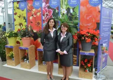 Ann Jennen en Sally van der Horst from FleuroSelect, posing in front of this year's nominees for the FleuroStar 2016. The begonia hybrid of Dummen Orange won the prestigious competition and got the prize awarded at the Greentech, last Thursday.