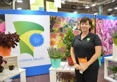 Adri Howe of Athena Brazil. They produce their annual cuttings in Brazil and mainly export them to the USA.