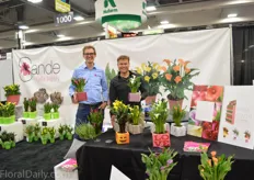 Johan Roelandt and Guido Veeken of Sande Calla holding their new concept that easy turns a calla into a gift. Together with a marketing agency they designed the box that covers the pot. Different designed can be put on the pot and the material is waterproof.