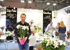 Luke Broersen of Zabo Plant holding the Rose Lily Beloica. This is a double flowered, pollen free lily.