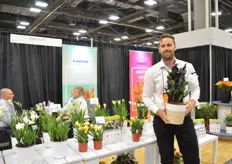 Jonathan Cooper of Flamingo Holland holding the Calla Memoris; a calla with very dark, almost black leaves. On the left, the Nano Freesia. This Freesia stays small, without PGR.