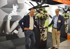 Royal van Zanten choose to focus its presentation on one single, new white chrysantemum, which will, hopefully, kick Bacardi out of the market. On the picture: Reinoud Hagen and Peter Wouters