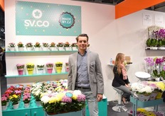 Martijn Vreugdenhill of sv.co presenting the Majstro Carnaval. This is disbudded potchrysanthemum. Every pot contains three colors.