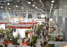 Elevated view on the exhibition.