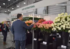 Visitor taking pictures of the rose varieties of NIRP International.