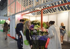 The flowers from Japanese wholesaler Toyoake Kaki.